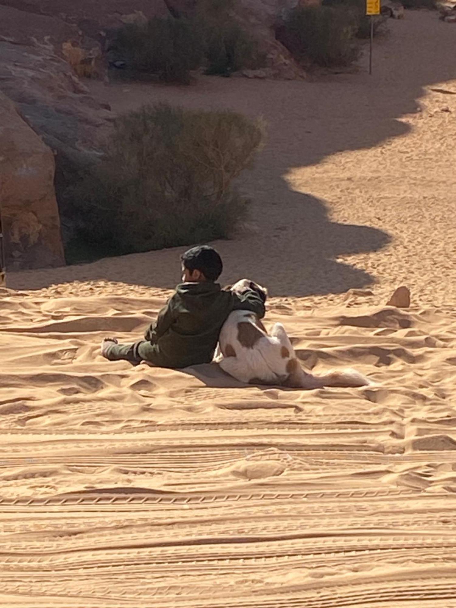 Wadi Rum Bedouin Heart Camp Eksteriør billede