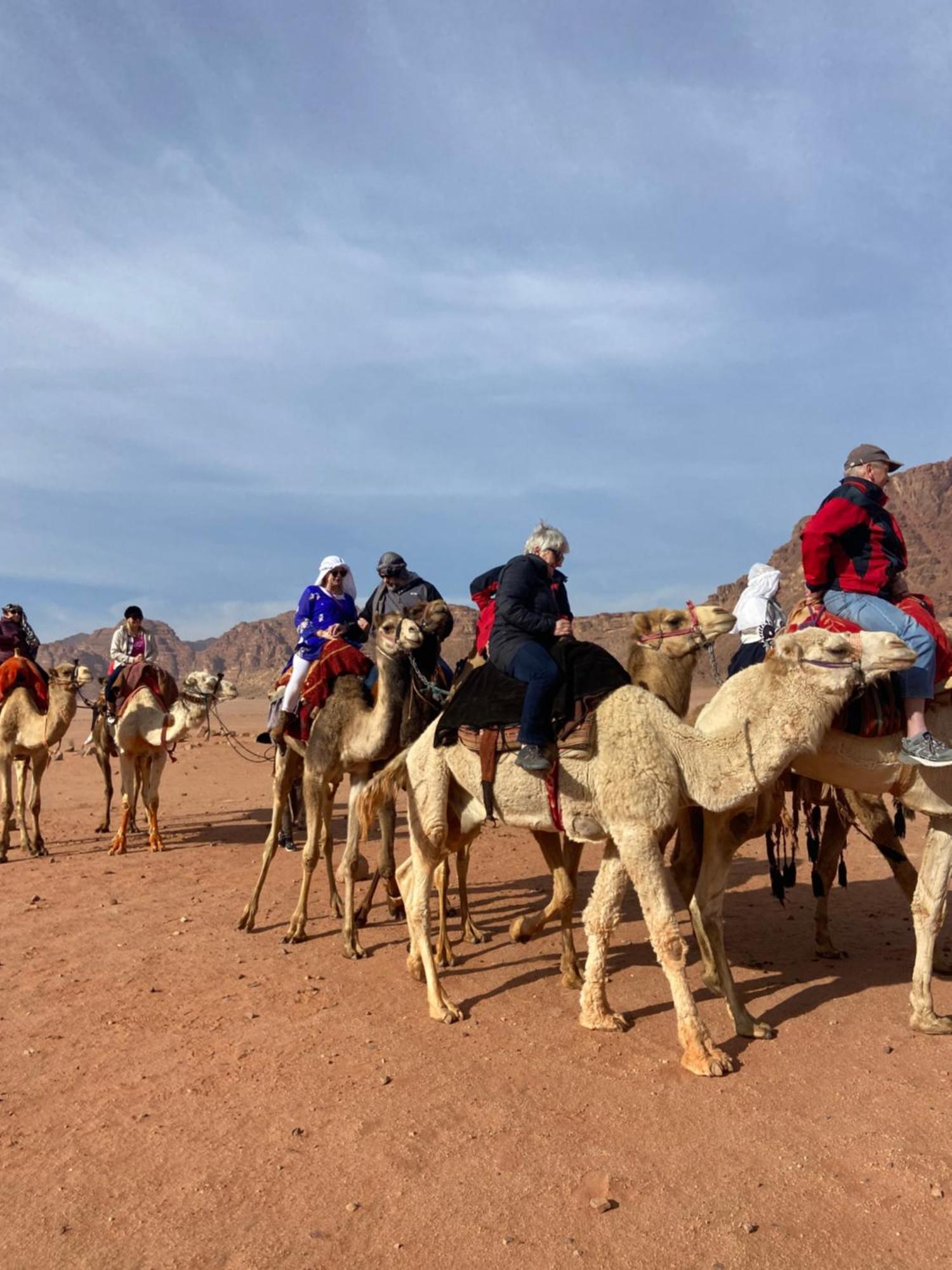 Wadi Rum Bedouin Heart Camp Eksteriør billede